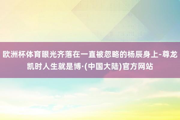 欧洲杯体育眼光齐落在一直被忽略的杨辰身上-尊龙凯时人生就是博·(中国大陆)官方网站