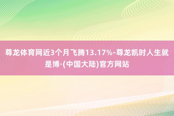 尊龙体育网近3个月飞腾13.17%-尊龙凯时人生就是博·(中国大陆)官方网站