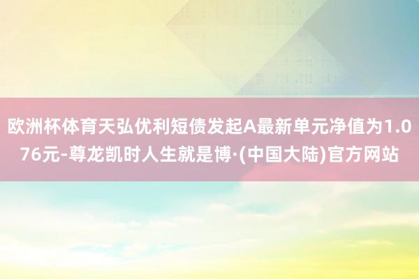 欧洲杯体育天弘优利短债发起A最新单元净值为1.076元-尊龙凯时人生就是博·(中国大陆)官方网站