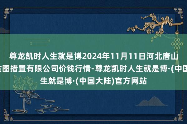 尊龙凯时人生就是博2024年11月11日河北唐山市荷花坑市集贪图措置有限公司价钱行情-尊龙凯时人生就是博·(中国大陆)官方网站