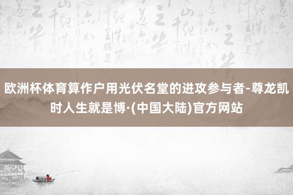 欧洲杯体育算作户用光伏名堂的进攻参与者-尊龙凯时人生就是博·(中国大陆)官方网站