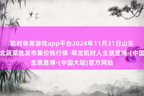 凯时体育游戏app平台2024年11月21日山东滨州(六街）鲁北蔬菜批发市集价钱行情-尊龙凯时人生就是博·(中国大陆)官方网站