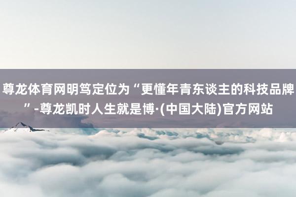 尊龙体育网明笃定位为“更懂年青东谈主的科技品牌”-尊龙凯时人生就是博·(中国大陆)官方网站