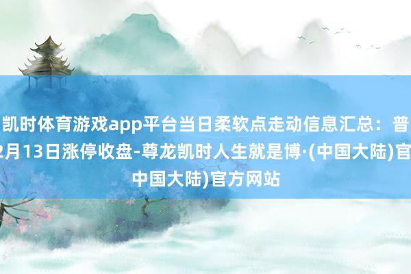 凯时体育游戏app平台当日柔软点走动信息汇总：普莱得12月13日涨停收盘-尊龙凯时人生就是博·(中国大陆)官方网站