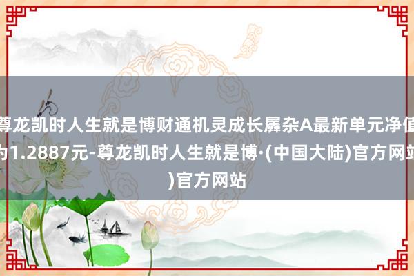 尊龙凯时人生就是博财通机灵成长羼杂A最新单元净值为1.2887元-尊龙凯时人生就是博·(中国大陆)官方网站
