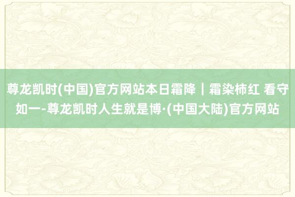 尊龙凯时(中国)官方网站本日霜降｜霜染柿红 看守如一-尊龙凯时人生就是博·(中国大陆)官方网站