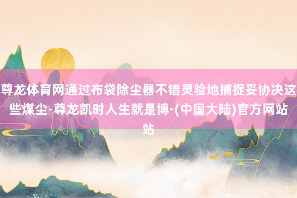 尊龙体育网通过布袋除尘器不错灵验地捕捉妥协决这些煤尘-尊龙凯时人生就是博·(中国大陆)官方网站